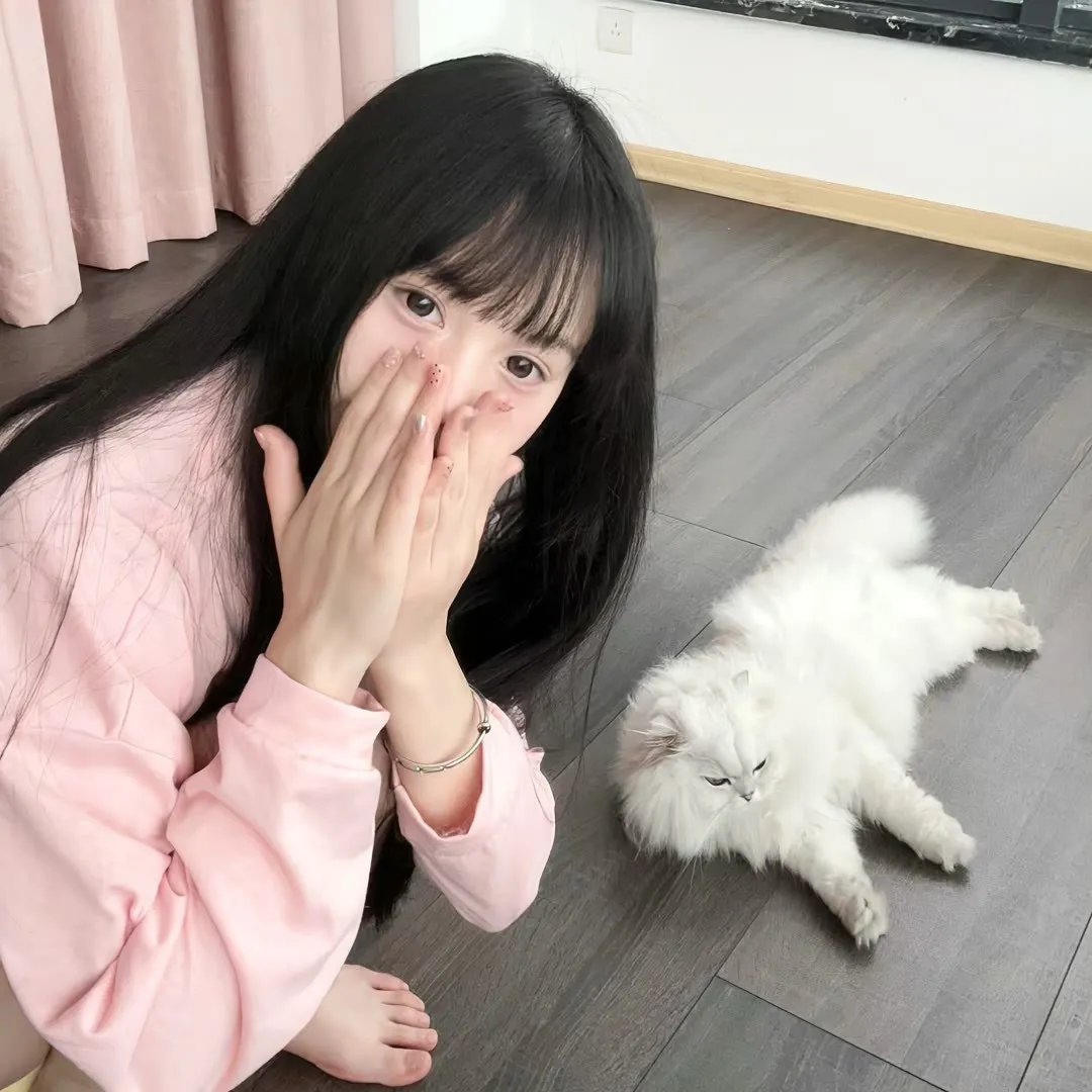 马里布高中 在线观看封面