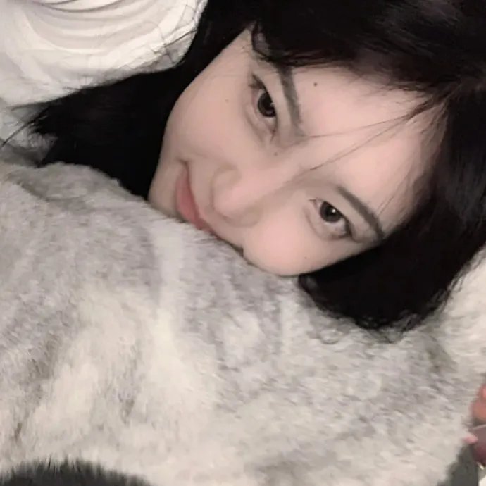 尼可曼斯 在线观看封面